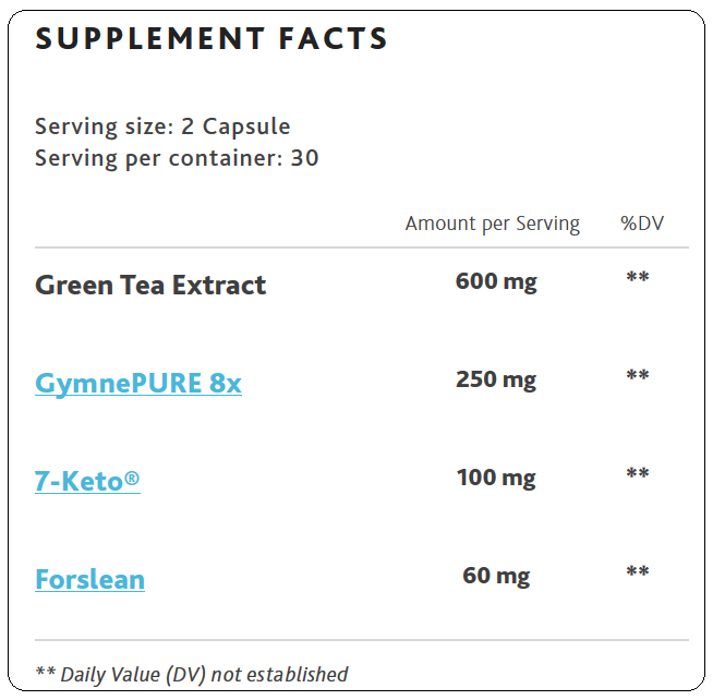 base fat burner ingredients