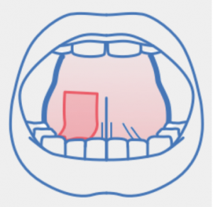 tongue strip niacinmax