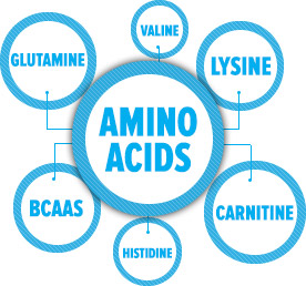 amino acids