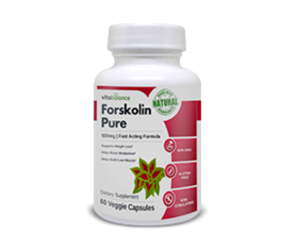 forskolin pure