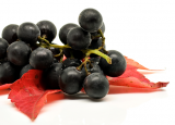 Maqui Berry Benefits