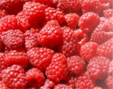 Is Raspberry Ketone Safe?